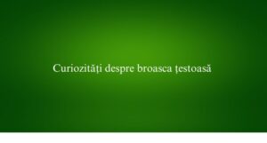 Curiozități despre broasca țestoasă