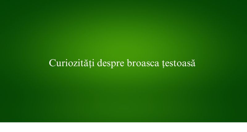 Curiozități despre broasca țestoasă