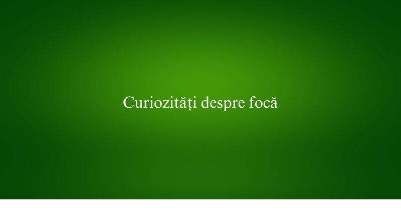 Curiozități despre focă
