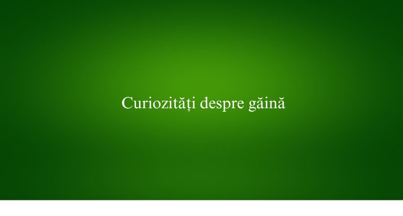 Curiozități despre găină