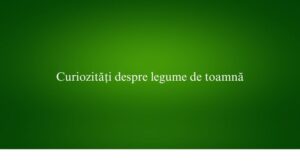Curiozități despre legume de toamnă