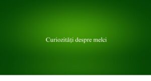 Curiozități despre melci
