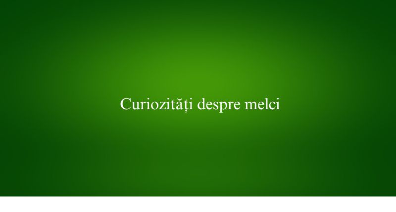 Curiozități despre melci