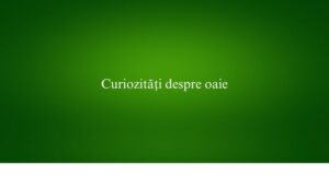 Curiozități despre oaie