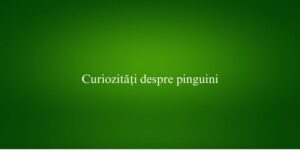Curiozități despre pinguini