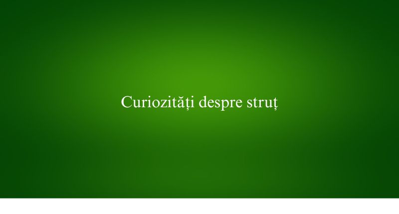 Curiozități despre struț