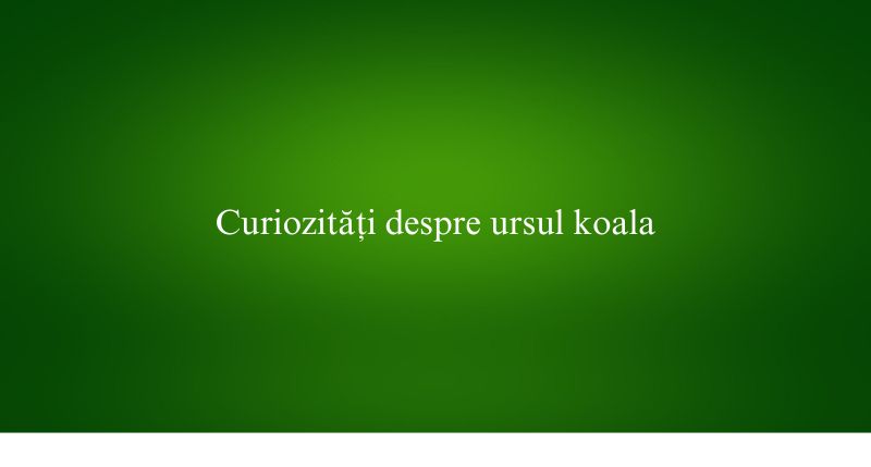 Curiozități despre ursul koala