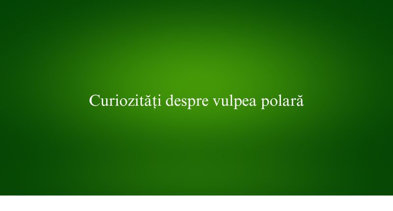 Curiozități despre vulpea polară