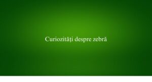 Curiozități despre zebră