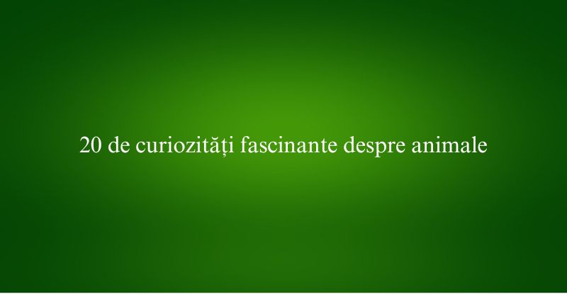 20 de curiozități fascinante despre animale