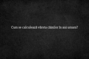 Cum se calculează vârsta câinilor în ani umani