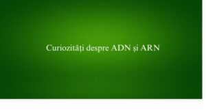 Curiozități despre ADN și ARN