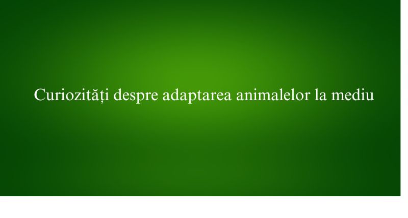 Curiozități despre adaptarea animalelor la mediu