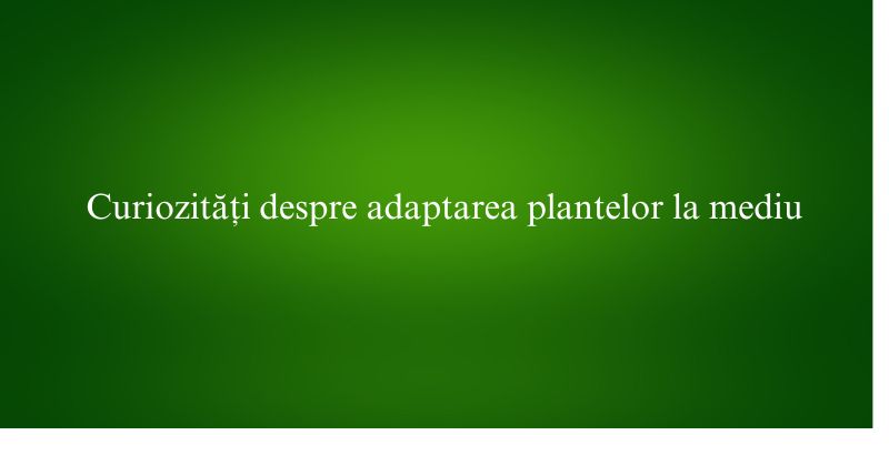 Curiozități despre adaptarea plantelor la mediu