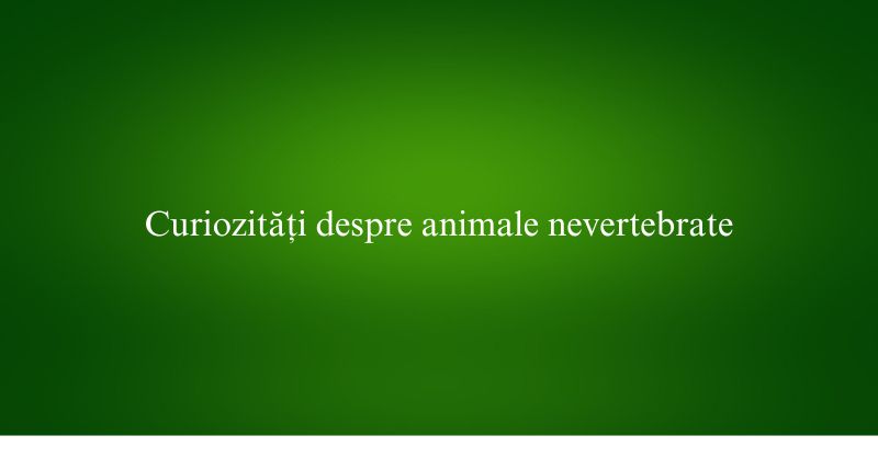 Curiozități despre animale nevertebrate