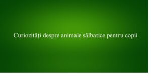 Curiozități despre animale sălbatice pentru copii