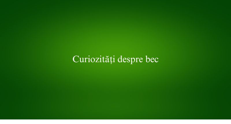 Curiozități despre bec