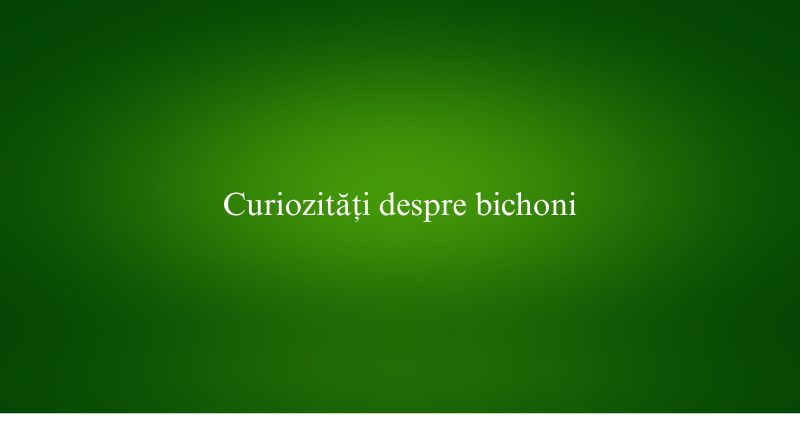 Curiozități despre bichoni