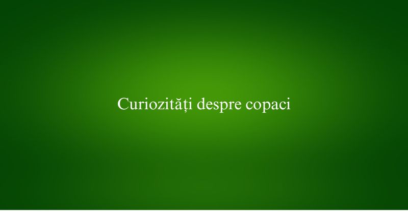 Curiozități despre copaci