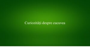 Curiozități despre cucuvea