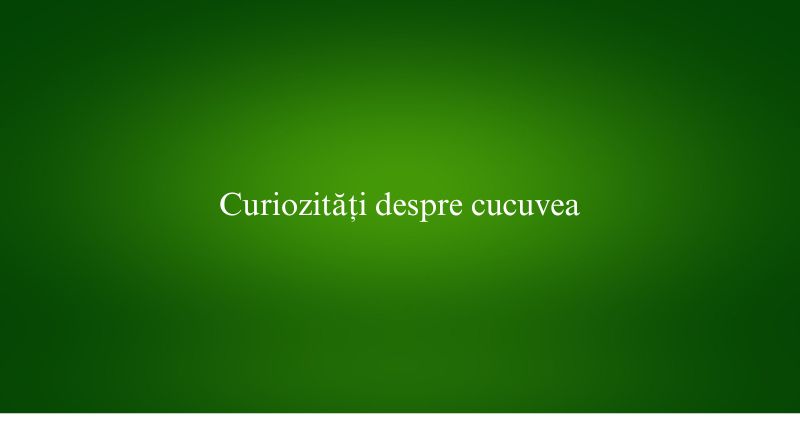 Curiozități despre cucuvea