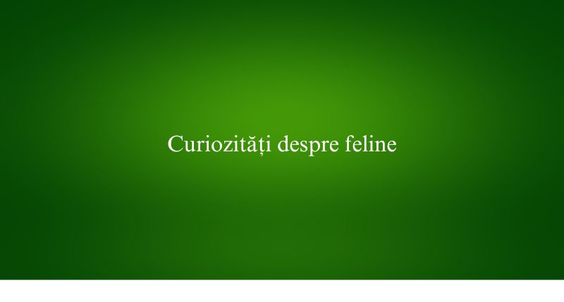 Curiozități despre feline