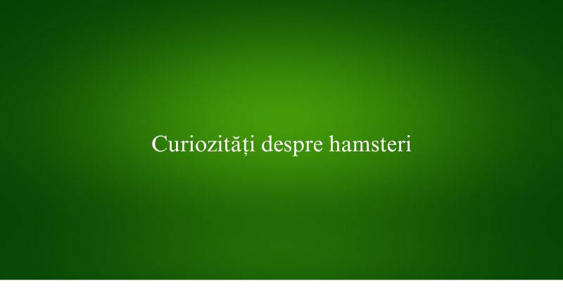Curiozități despre hamsteri