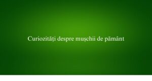 Curiozități despre mușchii de păm&acirc;nt