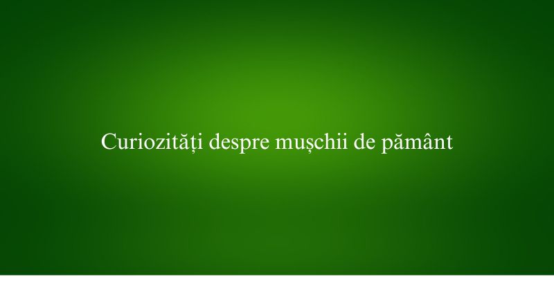 Curiozități despre mușchii de pământ