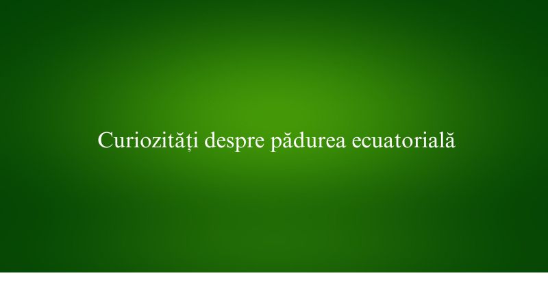Curiozități despre pădurea ecuatorială