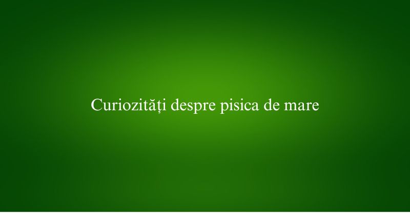 Curiozități despre pisica de mare
