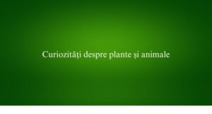 Curiozități despre plante și animale