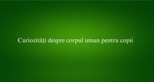Curiozități despre corpul uman pentru copii