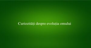 Curiozități despre evoluția omului