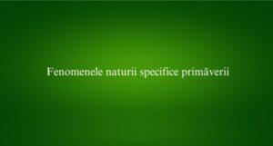 Fenomenele naturii specifice primăverii