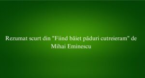 Rezumat scurt din Fiind băiet păduri cutreieram de Mihai Eminescu