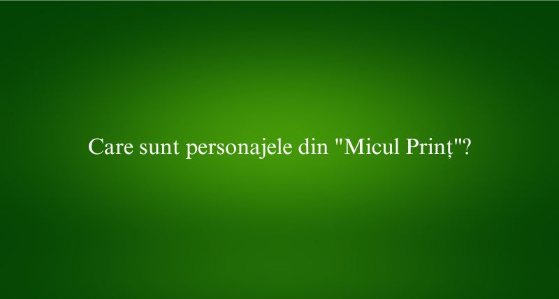 Care sunt personajele din Micul Prinț