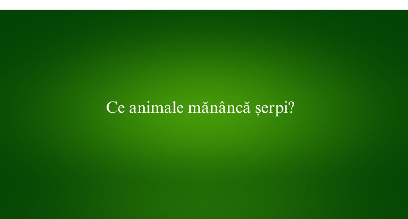 Ce animale mănâncă șerpi