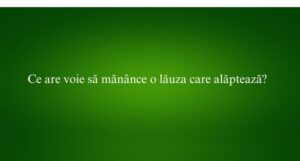 Ce are voie să măn&acirc;nce o lăuza care alăptează
