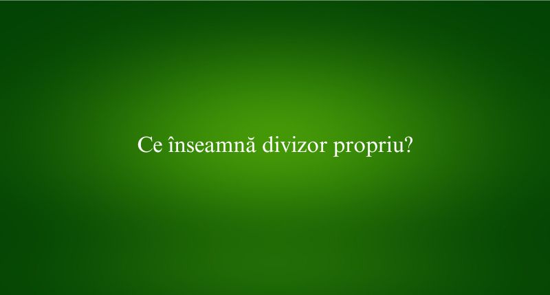 Ce înseamnă divizor propriu