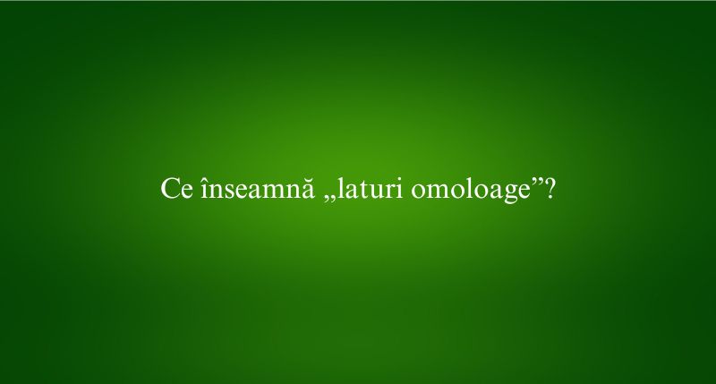 Ce înseamnă „laturi omoloage”