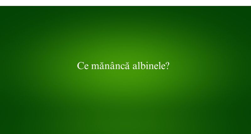 Ce mănâncă albinele
