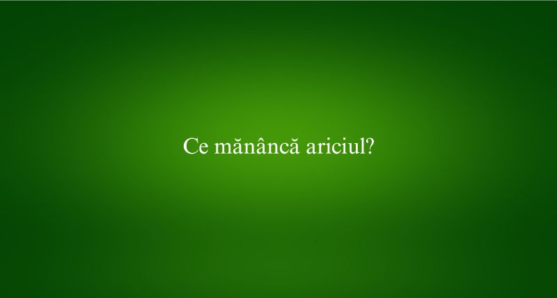 Ce mănâncă ariciul