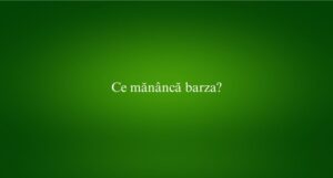 Ce măn&acirc;ncă barza