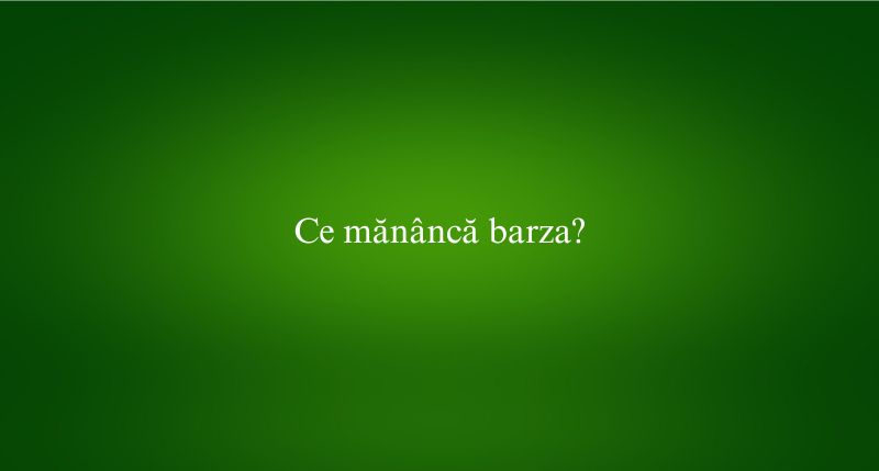 Ce mănâncă barza