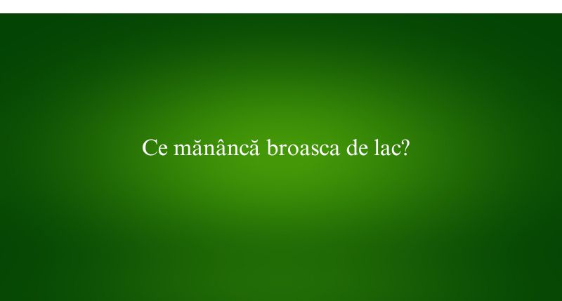 Ce mănâncă broasca de lac