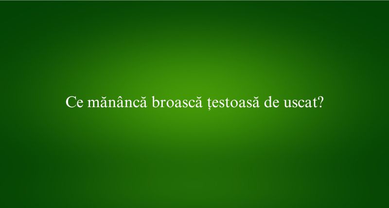 Ce mănâncă broască țestoasă de uscat