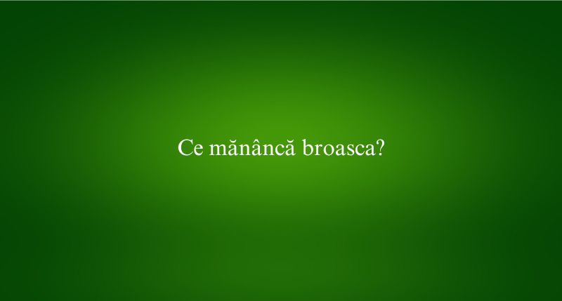 Ce mănâncă broasca