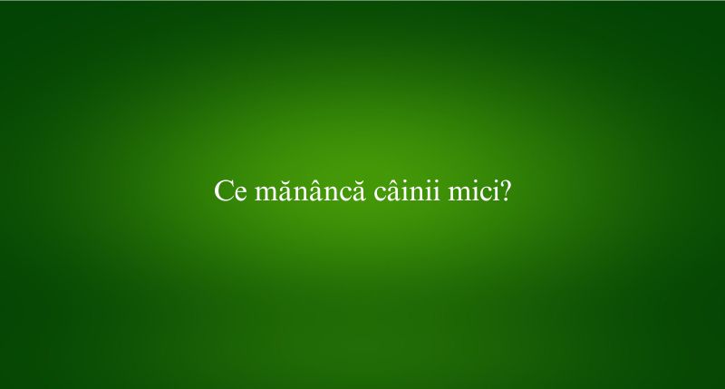 Ce mănâncă câinii mici