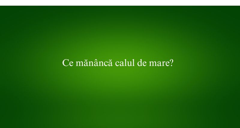 Ce mănâncă calul de mare